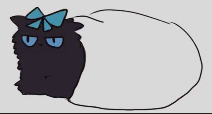 困困猫猫
